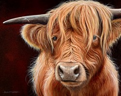 Highland Cow II by Alex McGarry - Original Painting, Canvas on Board sized 20x16 inches. Available from Whitewall Galleries