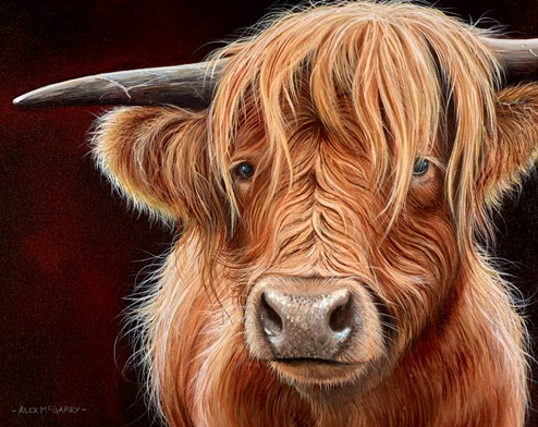 Highland Cow II by Alex McGarry - Original Painting, Canvas on Board